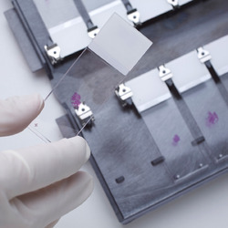 Diagnostic Imaging and Pathology Labs